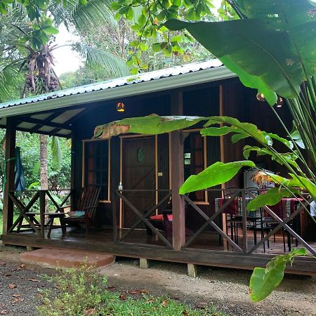 Cabinas Coco Lindo Ojochal Eksteriør bilde