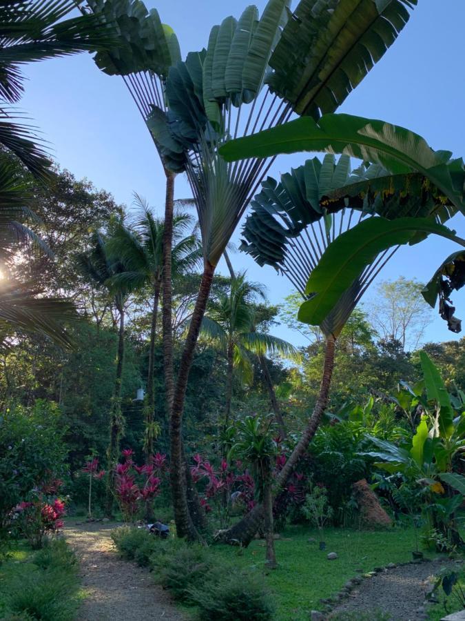 Cabinas Coco Lindo Ojochal Eksteriør bilde