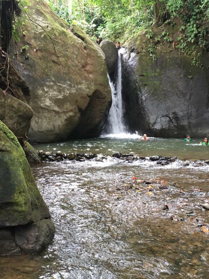 Cabinas Coco Lindo Ojochal Eksteriør bilde